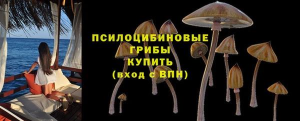 мяу мяу мука Алексеевка