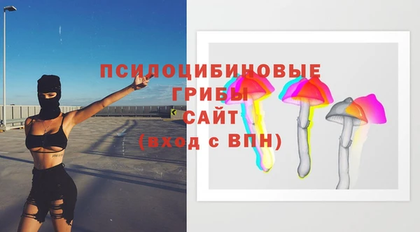 мяу мяу мука Алексеевка