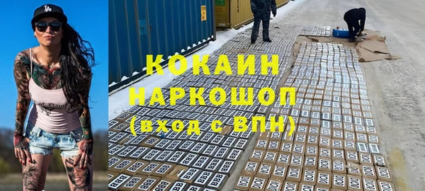 трава Новозыбков