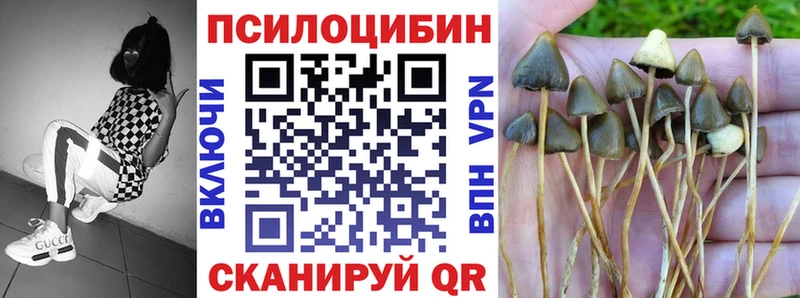 Псилоцибиновые грибы мухоморы  Игра 